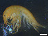  ( - Gf_Ger6_05)  @13 [ ] CreativeCommons - Attribution Non-Commercial Share-Alike (2013) Meike A.Seefeldt Ruhr University Bochum