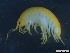  ( - Gf_Ger6_06)  @14 [ ] CreativeCommons - Attribution Non-Commercial Share-Alike (2013) Meike A.Seefeldt Ruhr University Bochum