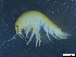  ( - Gf_Ger6_07)  @13 [ ] CreativeCommons - Attribution Non-Commercial Share-Alike (2013) Meike A.Seefeldt Ruhr University Bochum