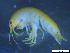  ( - Gf_Ger6_10)  @13 [ ] CreativeCommons - Attribution Non-Commercial Share-Alike (2013) Meike A.Seefeldt Ruhr University Bochum
