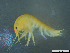  ( - Gf_Ger6_14)  @14 [ ] CreativeCommons - Attribution Non-Commercial Share-Alike (2013) Meike A.Seefeldt Ruhr University Bochum
