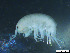  ( - Gf_Ger6_15)  @14 [ ] CreativeCommons - Attribution Non-Commercial Share-Alike (2013) Meike A.Seefeldt Ruhr University Bochum