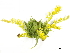  ( - BIOUG85759-B02)  @11 [ ] CreativeCommons - Attribution (2022) CBG Photography Group Centre for Biodiversity Genomics