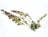  ( - BIOUG85757-E03)  @11 [ ] CreativeCommons - Attribution (2022) CBG Photography Group Centre for Biodiversity Genomics