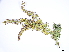  ( - BIOUG85757-E11)  @11 [ ] CreativeCommons - Attribution (2022) CBG Photography Group Centre for Biodiversity Genomics