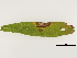  ( - BIOUG85758-C04)  @11 [ ] CreativeCommons - Attribution (2022) CBG Photography Group Centre for Biodiversity Genomics