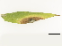  ( - BIOUG85758-C06)  @11 [ ] CreativeCommons - Attribution (2022) CBG Photography Group Centre for Biodiversity Genomics