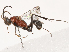  ( - CBG-B03939-E12)  @11 [ ] CreativeCommons - Attribution Share - Alike (2025) CBG Photography Group Centre for Biodiversity Genomics