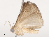  ( - CBG-B14769-A07)  @11 [ ] CreativeCommons - Attribution Share - Alike (2025) CBG Photography Group Centre for Biodiversity Genomics