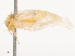  ( - CBG-B14769-D04)  @11 [ ] CreativeCommons - Attribution Share - Alike (2025) CBG Photography Group Centre for Biodiversity Genomics