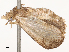  ( - CBG-B14769-E08)  @11 [ ] CreativeCommons - Attribution Share - Alike (2025) CBG Photography Group Centre for Biodiversity Genomics