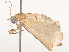  ( - CBG-B14769-F10)  @11 [ ] CreativeCommons - Attribution Share - Alike (2025) CBG Photography Group Centre for Biodiversity Genomics