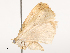  ( - CBG-B14769-F11)  @11 [ ] CreativeCommons - Attribution Share - Alike (2025) CBG Photography Group Centre for Biodiversity Genomics