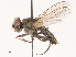  ( - CBG-B14779-C08)  @11 [ ] CreativeCommons - Attribution Share - Alike (2025) CBG Photography Group Centre for Biodiversity Genomics