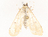  ( - CBG-B14779-E05)  @11 [ ] CreativeCommons - Attribution Share - Alike (2025) CBG Photography Group Centre for Biodiversity Genomics