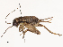  ( - CBG-B04119-F01)  @11 [ ] CreativeCommons - Attribution Share - Alike (2025) CBG Photography Group Centre for Biodiversity Genomics