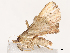  ( - CBG-B07578-A09)  @11 [ ] CreativeCommons - Attribution Share - Alike (2025) CBG Photography Group Centre for Biodiversity Genomics