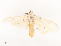  ( - CBG-B19169-C07)  @11 [ ] CreativeCommons - Attribution Share - Alike (2025) CBG Photography Group Centre for Biodiversity Genomics