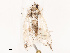  ( - CBG-B19169-D07)  @11 [ ] CreativeCommons - Attribution Share - Alike (2025) CBG Photography Group Centre for Biodiversity Genomics