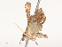  ( - CBG-B19182-F08)  @11 [ ] CreativeCommons - Attribution Share - Alike (2025) CBG Photography Group Centre for Biodiversity Genomics