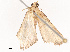  ( - CBG-B19182-G01)  @11 [ ] CreativeCommons - Attribution Share - Alike (2025) CBG Photography Group Centre for Biodiversity Genomics