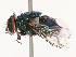  ( - CBG-B07457-E11)  @11 [ ] CreativeCommons - Attribution Share - Alike (2025) CBG Photography Group Centre for Biodiversity Genomics