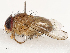  ( - CBG-B07466-B06)  @11 [ ] CreativeCommons - Attribution Share - Alike (2025) CBG Photography Group Centre for Biodiversity Genomics
