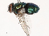 ( - CBG-B07581-H07)  @11 [ ] CreativeCommons - Attribution Share - Alike (2025) CBG Photography Group Centre for Biodiversity Genomics