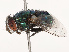  ( - CBG-B19186-F09)  @11 [ ] CreativeCommons - Attribution Share - Alike (2025) CBG Photography Group Centre for Biodiversity Genomics