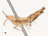  (Duronia - CBG-B21630-D06)  @11 [ ] CreativeCommons - Attribution Share - Alike (2025) CBG Photography Group Centre for Biodiversity Genomics