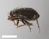  ( - ZFMK-TIS-11791)  @11 [ ] CreativeCommons  Attribution Share-Alike (by-sa) 640 (2013) Unspecified Zoologisches Forschungsmuseum Alexander Koenig