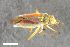  ( - ZFMK-TIS-2550980)  @11 [ ] CreativeCommons  Attribution Share-Alike (by-sa) 640 (2016) Unspecified Zoologisches Forschungsmuseum Alexander Koenig