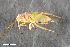  ( - ZFMK-TIS-2558049)  @11 [ ] CreativeCommons  Attribution Share-Alike (by-sa) 640 (2016) Unspecified Zoologisches Forschungsmuseum Alexander Koenig