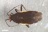  ( - ZFMK-TIS-2578000)  @11 [ ] CreativeCommons  Attribution Share-Alike (by-sa) 640 (2017) Unspecified Zoologisches Forschungsmuseum Alexander Koenig