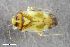  ( - ZFMK-TIS-2617172)  @11 [ ] CreativeCommons  Attribution Share-Alike (by-sa) 640 (2018) Unspecified Zoologisches Forschungsmuseum Alexander Koenig