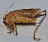  ( - ZYX102)  @12 [ ] CreativeCommons - Attribution (2010) Zhi-Jun Zhou Centre for Biodiversity Genomics