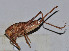  ( - ZYX120)  @12 [ ] CreativeCommons - Attribution (2010) Zhi-Jun Zhou Centre for Biodiversity Genomics