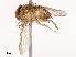  ( - CBG-B07455-D05)  @11 [ ] CreativeCommons - Attribution Share - Alike (2025) CBG Photography Group Centre for Biodiversity Genomics