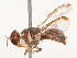  ( - CBG-B07455-D09)  @11 [ ] CreativeCommons - Attribution Share - Alike (2025) CBG Photography Group Centre for Biodiversity Genomics