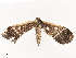  ( - CBG-B07584-B06)  @11 [ ] CreativeCommons - Attribution Share - Alike (2025) CBG Photography Group Centre for Biodiversity Genomics