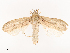  ( - CBG-B07584-C05)  @11 [ ] CreativeCommons - Attribution Share - Alike (2025) CBG Photography Group Centre for Biodiversity Genomics