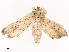  ( - CBG-B07584-C08)  @11 [ ] CreativeCommons - Attribution Share - Alike (2025) CBG Photography Group Centre for Biodiversity Genomics