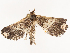  ( - CBG-B07584-F03)  @11 [ ] CreativeCommons - Attribution Share - Alike (2025) CBG Photography Group Centre for Biodiversity Genomics