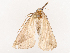  ( - CBG-B07586-A09)  @11 [ ] CreativeCommons - Attribution Share - Alike (2025) CBG Photography Group Centre for Biodiversity Genomics