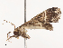  ( - CBG-B19172-E02)  @11 [ ] CreativeCommons - Attribution Share - Alike (2025) CBG Photography Group Centre for Biodiversity Genomics