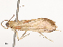 ( - CBG-B19172-F04)  @11 [ ] CreativeCommons - Attribution Share - Alike (2025) CBG Photography Group Centre for Biodiversity Genomics