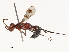  ( - CBG-B21630-C06)  @11 [ ] CreativeCommons - Attribution Share - Alike (2025) CBG Photography Group Centre for Biodiversity Genomics