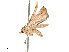  ( - CBG-B14794-D10)  @11 [ ] CreativeCommons - Attribution Share - Alike (2025) CBG Photography Group Centre for Biodiversity Genomics