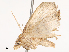  ( - CBG-B17212-B03)  @11 [ ] CreativeCommons - Attribution Share - Alike (2025) CBG Photography Group Centre for Biodiversity Genomics