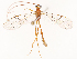  (Dicamptus - CBG-B17212-E10)  @11 [ ] CreativeCommons - Attribution Share - Alike (2025) CBG Photography Group Centre for Biodiversity Genomics